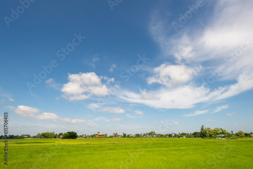 panorama blue sky background with small clouds. White clouds move in the sky in the sunshine. Amazing.