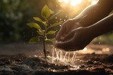 Plant water growing. Generate Ai