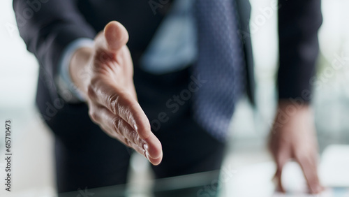 Close up agent reach out hand to camera handshake client.