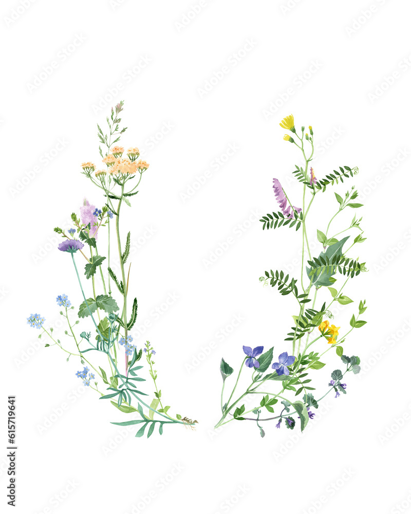 Hand painted watercolor frame with meadow herbs and flowers. Floral background with free place for your text. Botanical painting in vintage style