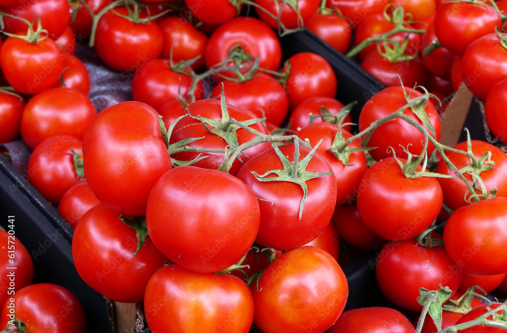 organic and fresh tomatoes at the market counter
