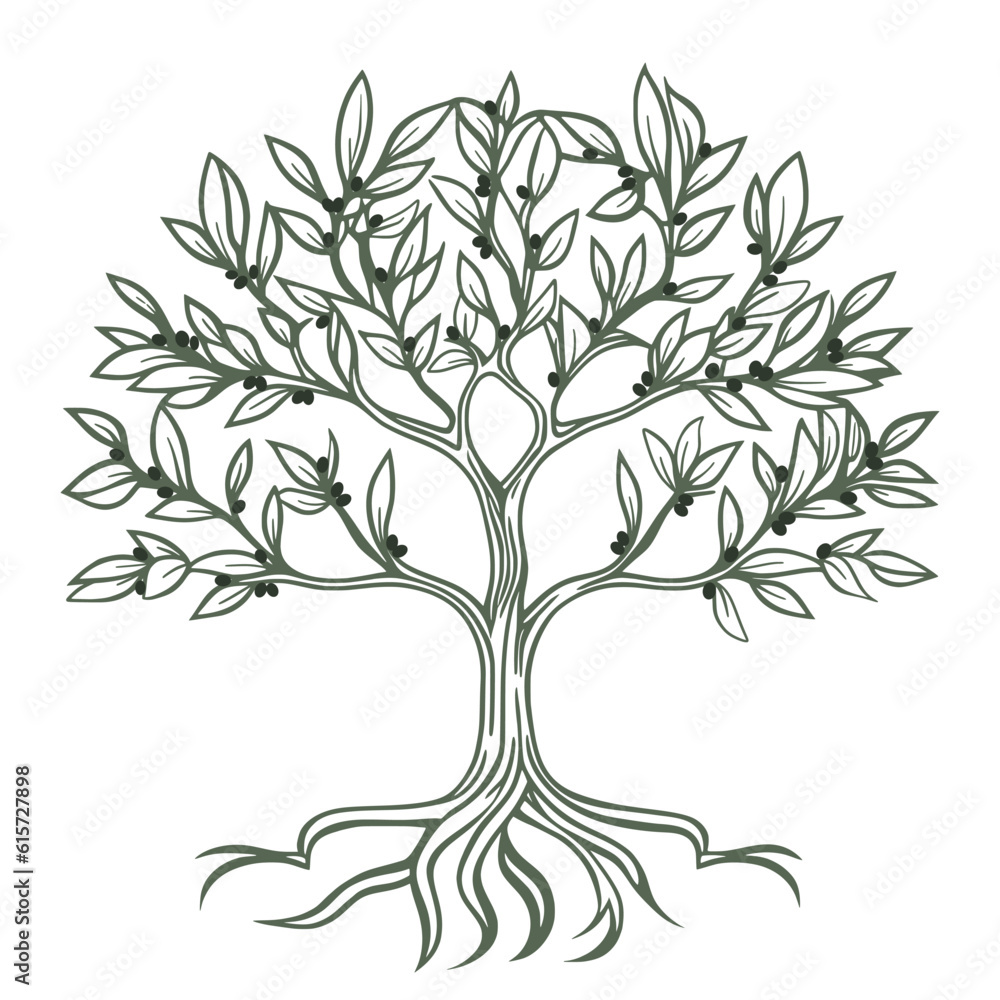 Olive tree hand engraving isolated illustration. Premium high quality raw material for oil. Tree with lush foliage and berries sketch, vector