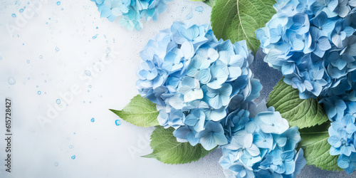 Blue Hydrangea or hortensia mockup. Flower blossom composition with petals. Top view, flat lay. Greeting card, template, cover.  Botanical design. Generative ai