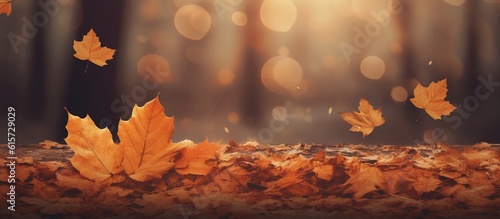 Beautiful autumn leaves on blurred background