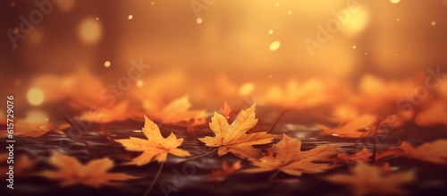 Beautiful autumn leaves on blurred background
