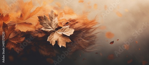 Beautiful autumn leaves on blurred background