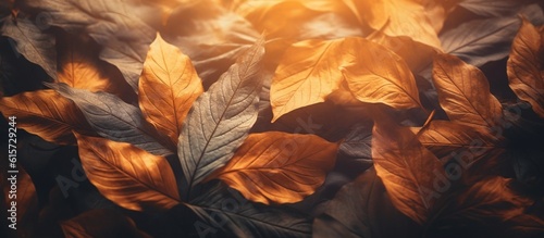 Beautiful autumn leaves on blurred background