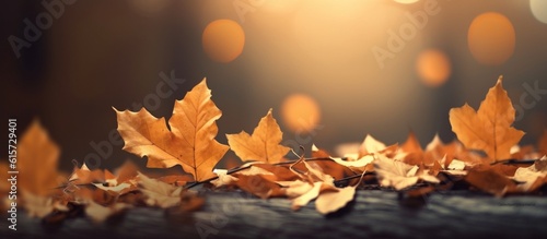 Beautiful autumn leaves on blurred background