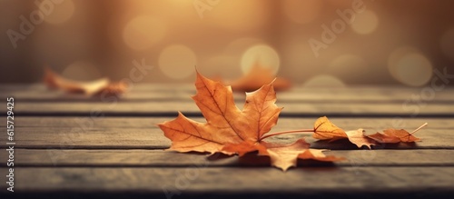 Beautiful autumn leaves on blurred background
