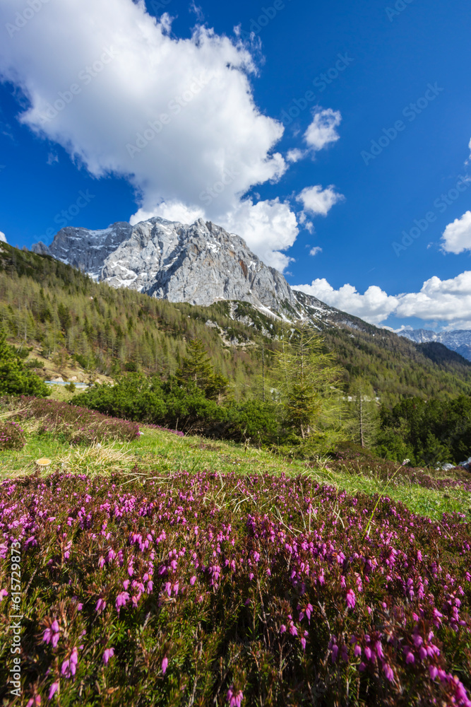Obraz premium Landscape near Vrsic, Triglavski national park, Slovenia