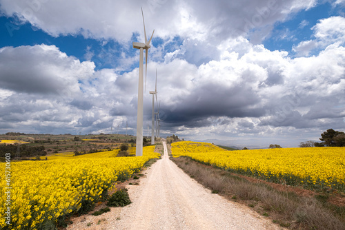 Wind turbines between agricultural fields with rapeseed plantations on the hills of the province of Tarragona in Spain photo