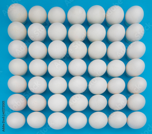 A large number of white eggs on a blue background