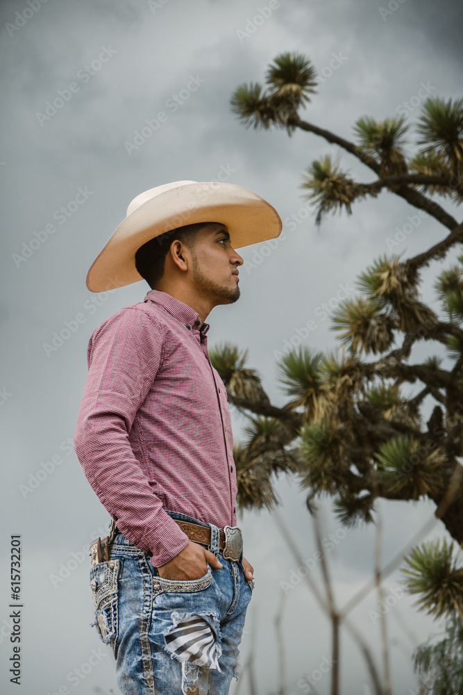 Cowboy with a beard wearing jeans, a plaid shirt, and a cowboy hat, enjoying the outdoors under the sky