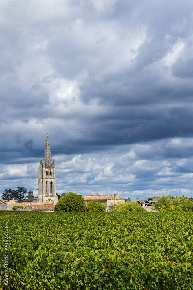 Vineyards with Saint-Emilion town, Aquitaine, Gironde, France