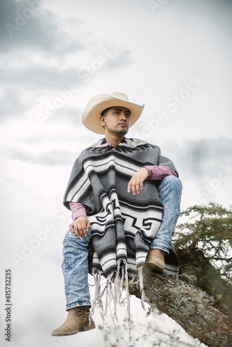 Cowboy wearing a poncho sitting under a tree in the sky