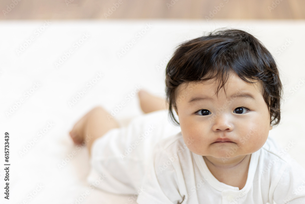うつ伏せで頭を持ち上げている赤ちゃん（男の子、日本人、生後6か月）