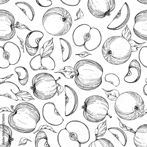 Hand drawn ink apple fruits, ripe, full and slices monochrome vector, detailed outline with leaves. Seamless pattern. Isolated on white background. Design for wall art, wedding, print, fabric, card.