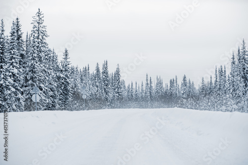winter and snowy road through the forest, snowy fir trees in Siberia