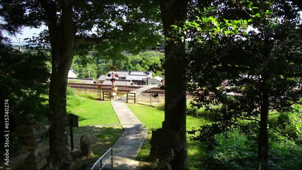 若宮八幡神社の参道を横切る313系普通列車 （東海道本線 柏原 - 関ヶ原, 2023年6月）