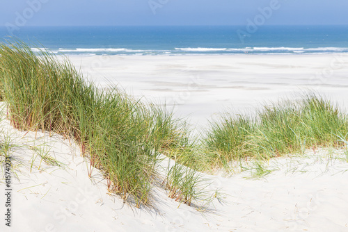 Landscape with sand dunes at nature reserve Wadden island Terschelling in Friesland province in The Netherlands photo