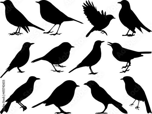 Set of Robin Birds Silhouette