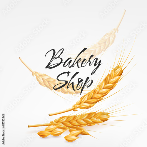 Realistic vector illustration of falling golden wheat spikes, rye, and dry wheat for bakery shops. Perfect for agriculture and autumn themed designs. Represents harvest, natural ingredients, gluten