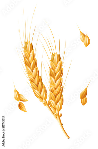 Realistic 3D vector illustration of a ripe ear of wheat, perfect for agricultural and farming designs. Isolated on a white background. A natural ingredient for healthy food and bakery products, gluten