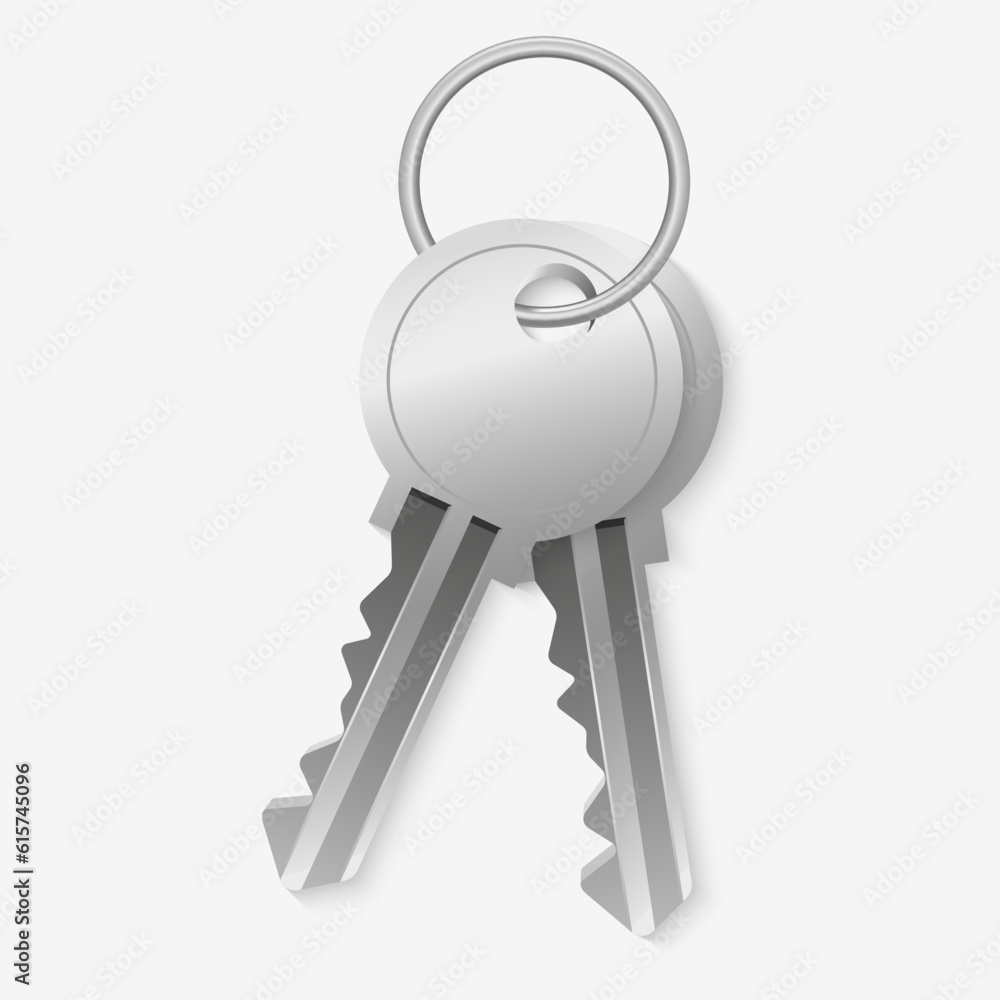 3D vector illustration of a realistic metallic silver key with a keyring on a white background. Symbolizing access, security, and privacy. Perfect for real estate, home, and property concepts. 3D vector illustration of a realistic metallic silver key with a keyring on a white background. Symbolizing access, security, and privacy. Perfect for real estate, home, and property concepts.