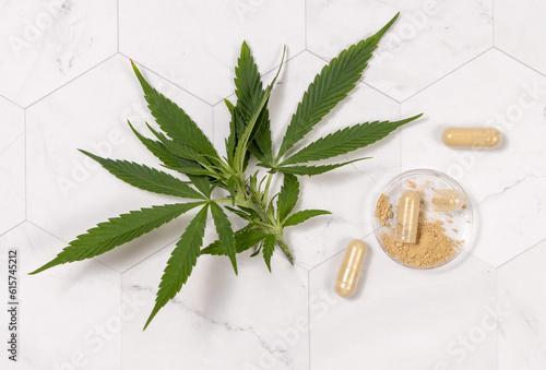 Capsules with hemp protein powder near green cannabis leaves. Alternative medicine