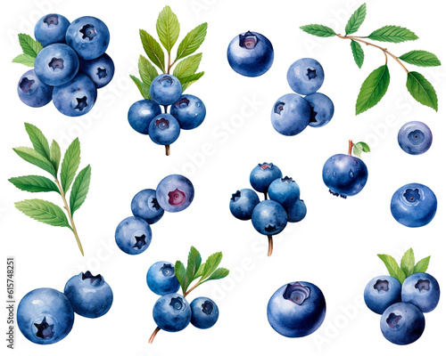 Watercolor painting of a Blueberry fruit set isolated on white background. Cut out PNG illustration on transparent background. AI Generative.