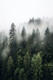 A misty morning in the forest, natural background. Ai generated.