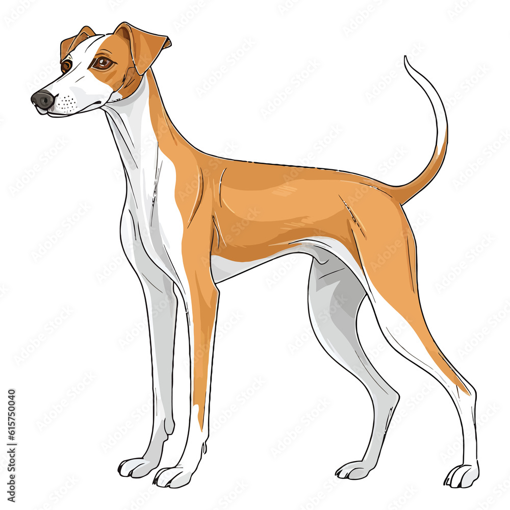 Enchanting Elegance in Motion: Enchanting 2D Illustration of a Playful Whippet Enchanting Elegance in Motion: Enchanting 2D Illustration of a Playful Whippet