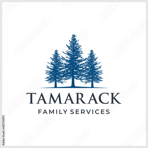 Triple tree logo design. Pine forest vector illustration