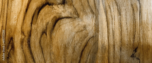 Wood texture background surface old natural pattern, old wood background, old brown rustical wooden texture, wood background.


