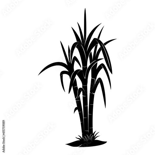sugarcane vector