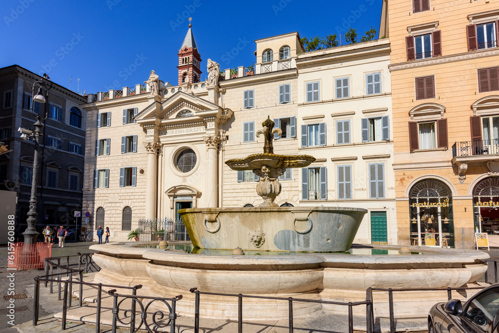 One of twin fountains on Piazza Farnese square, Rome, Italy
