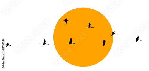 Wildgänse Kraniche Vögel. Wildgänse im Frühling und Herbst.