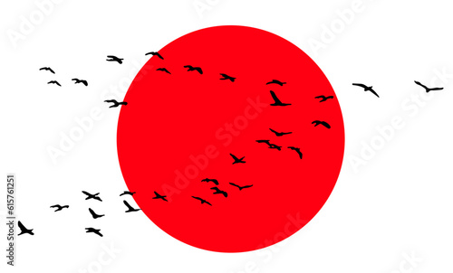 Wildgänse Kraniche Vögel. Wildgänse im Frühling und Herbst.