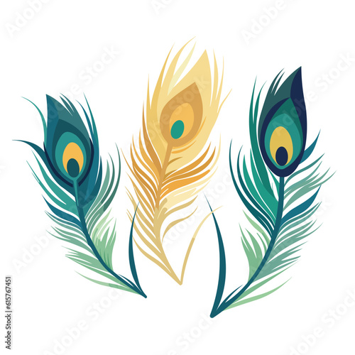 set of colorful peacock feathers