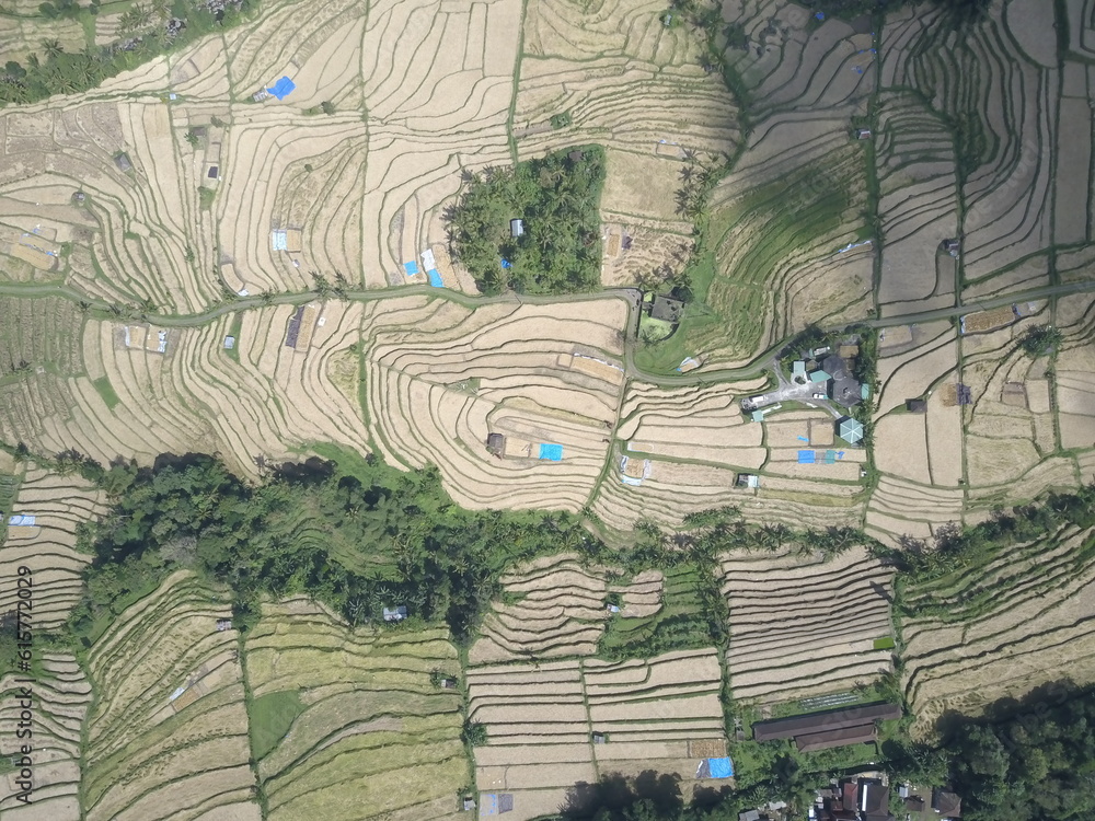 Fototapeta premium Jatiluwih rice fields, Bali, Indonesia. Aerial view.