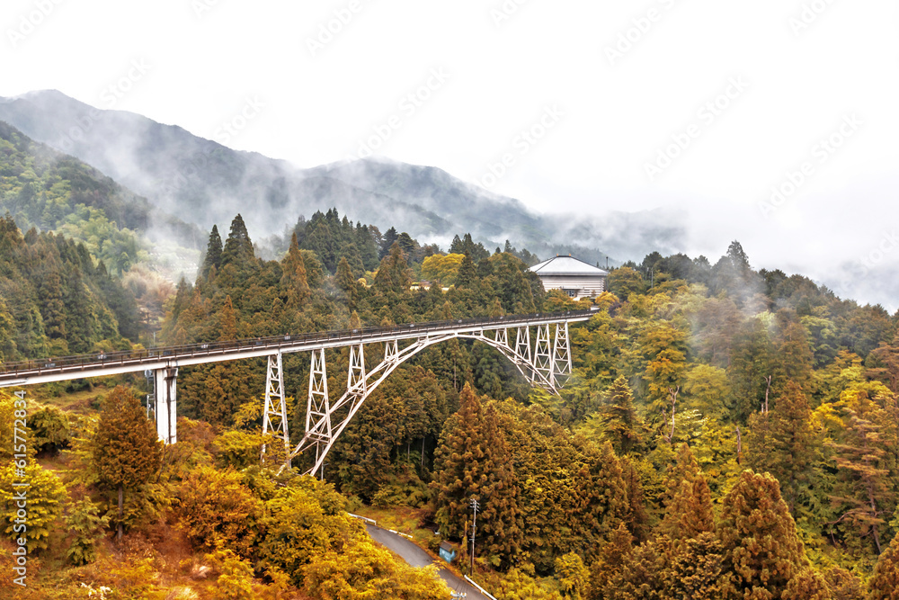 Fototapeta premium A bridge made of steel for walking across the shore