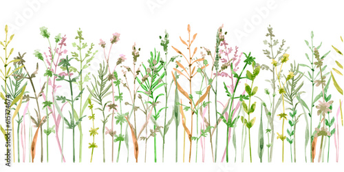 seamless border of grassland with different herb plants. waterco