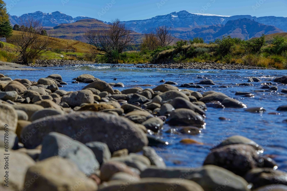 Serene Riverbank in Untouched Wilderness with Lush Plant Life and Scenic Landscape. Serene Riverbank in Untouched Wilderness with Lush Plant Life and Scenic Landscape.