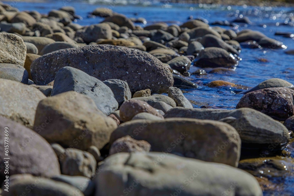 Serene Riverbank in Untouched Wilderness with Lush Plant Life and Scenic Landscape.