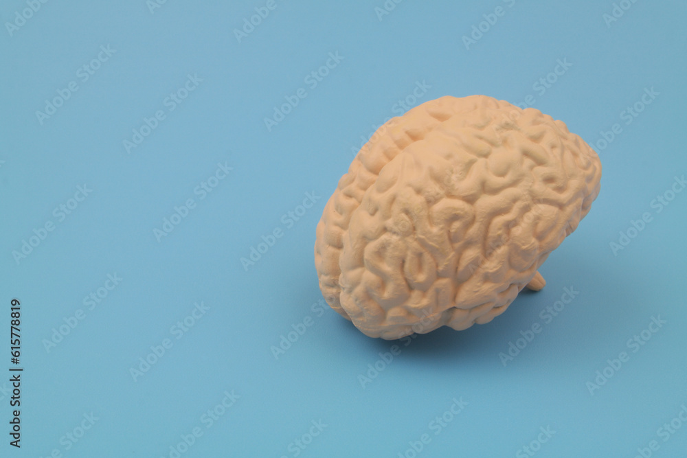 Human brain model on blue background. Copy space for text. Human brain model on blue background. Copy space for text.