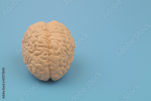 Human brain model on blue background with copy space for text.