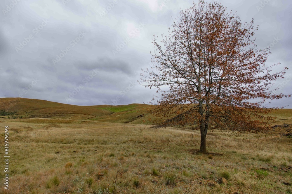 Tranquil Autumn Landscape with Mountain and Prairie