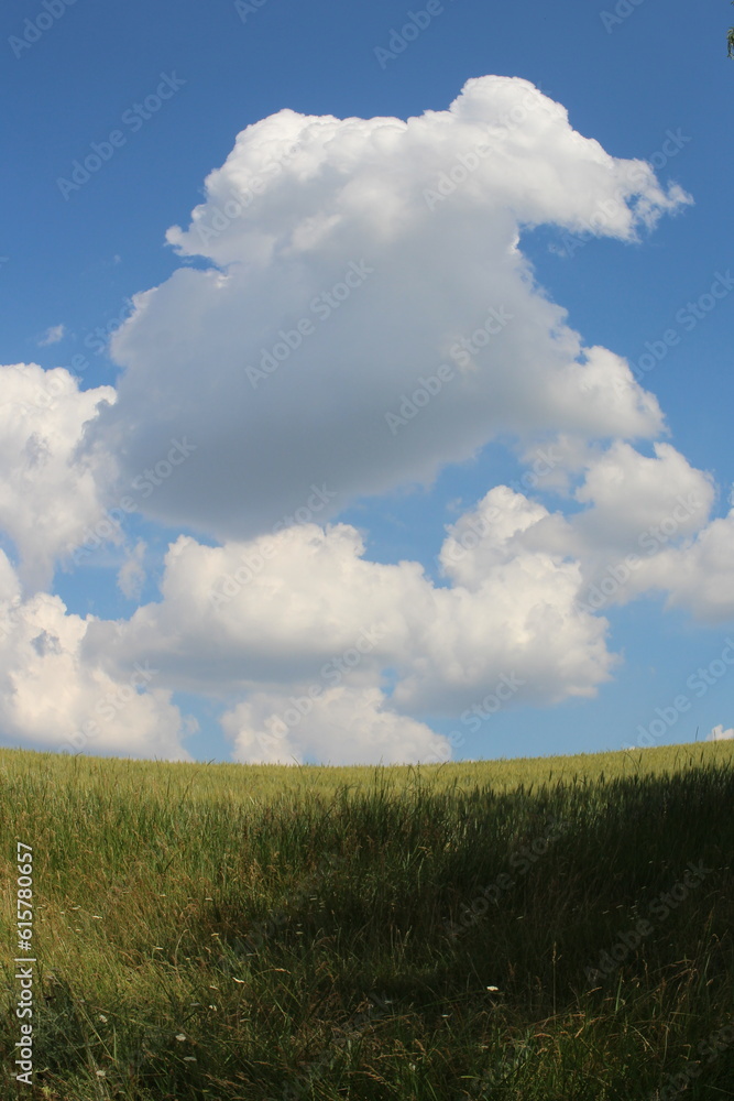 A grassy field with clouds in the sky A grassy field with clouds in the sky