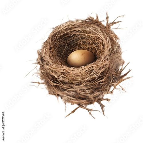 three chicken egg in dry grass , isolated on transparent background cutout 