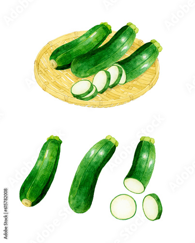 ズッキーニのセット　夏野菜の手描き水彩イラスト素材集 photo
